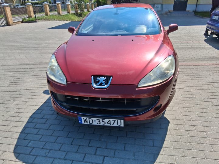 zdjęcie 2